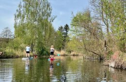 SUP Tour durch Klein-Venedig