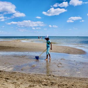 Kind am Strand mit Kescher sucht Muscheln
